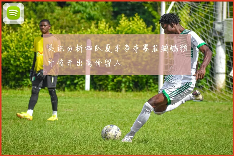 美记分析四队夏季争夺墨菲鹈鹕预计将开出高价留人